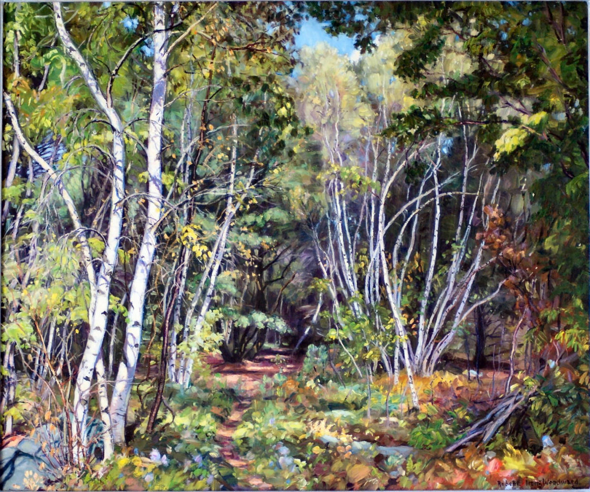 Birch Woodland High Resolution
