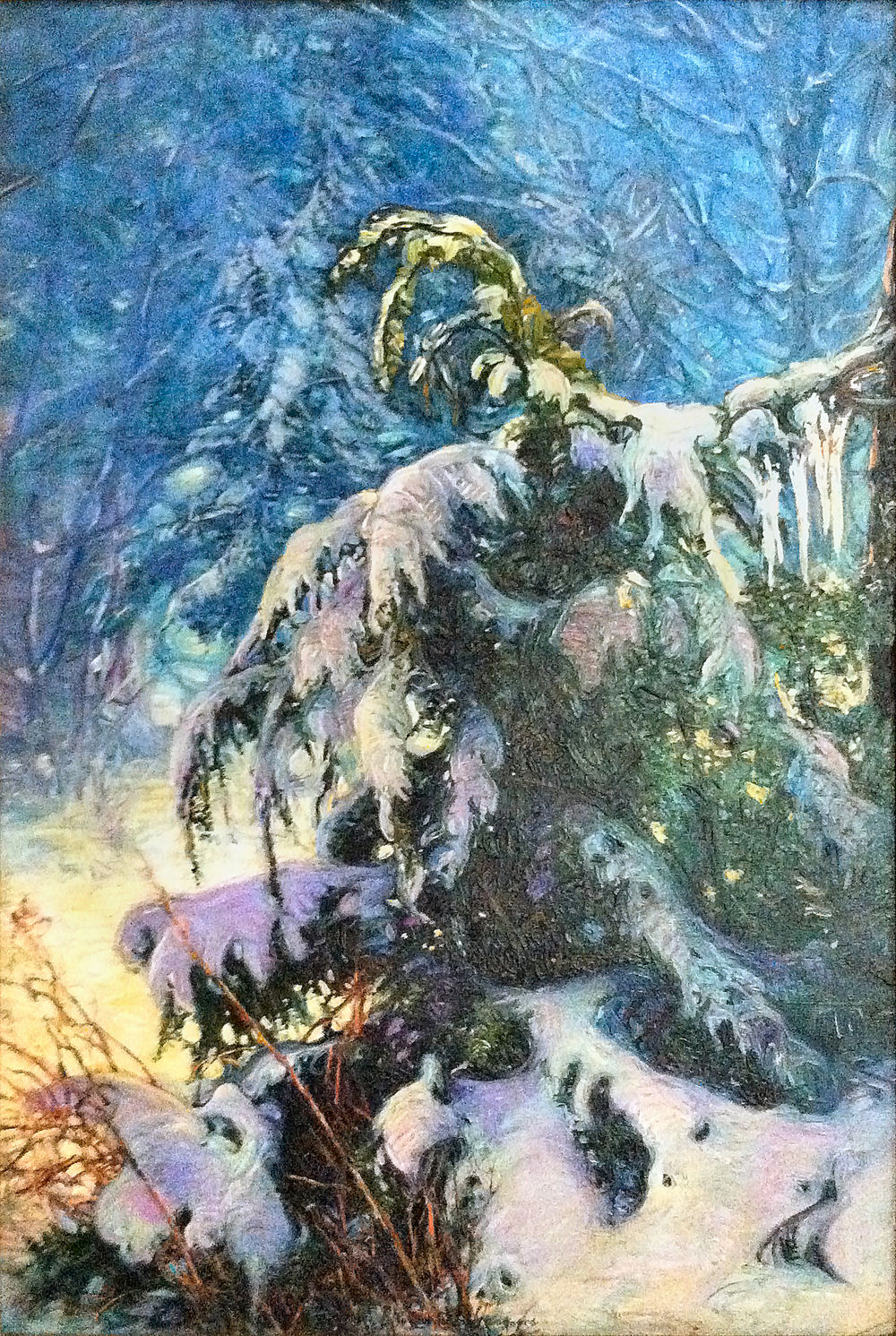 Small Hemlock in Snow High Resolution