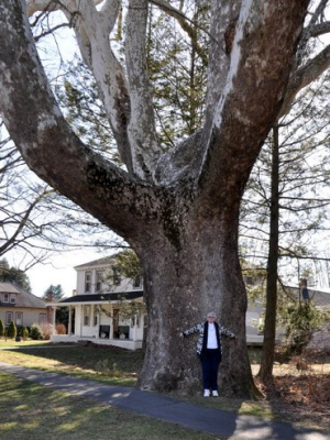 F. Earl Williams was born in the farm immediately behind this tree.