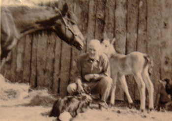 Dr. Lunt with his dog Jock and his mare Honey.