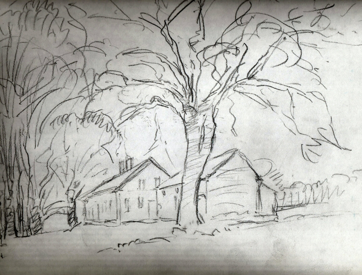 Sketchbook Dooryard Elm #5