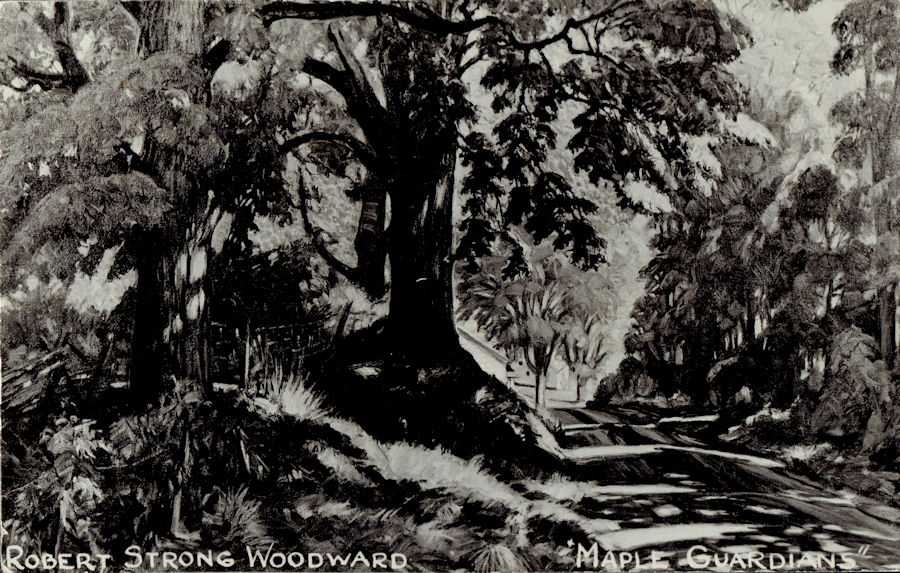 An image of the Maple Guardians postcard