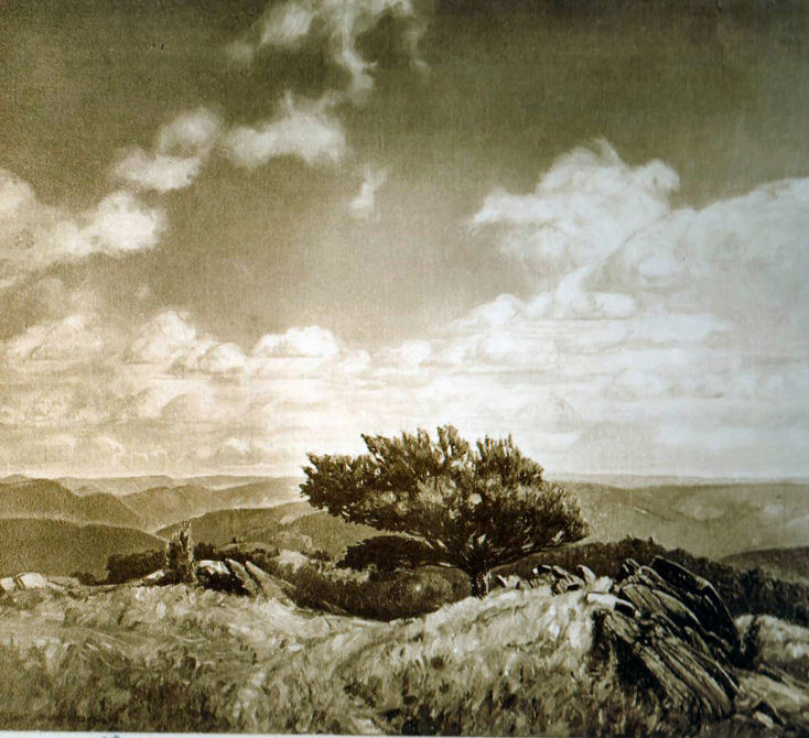 From a Hill Pasture, Sepia