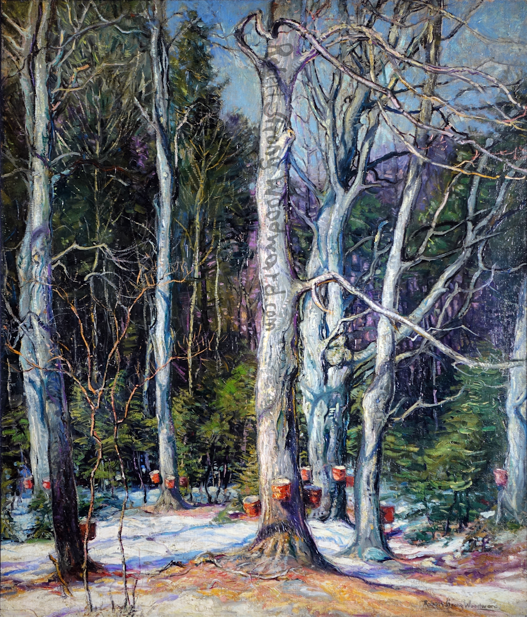 In The Sugar Bush High Resolution