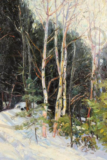 Close up of the birches