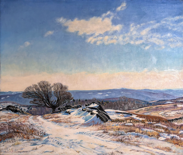 An image of Mild Winter