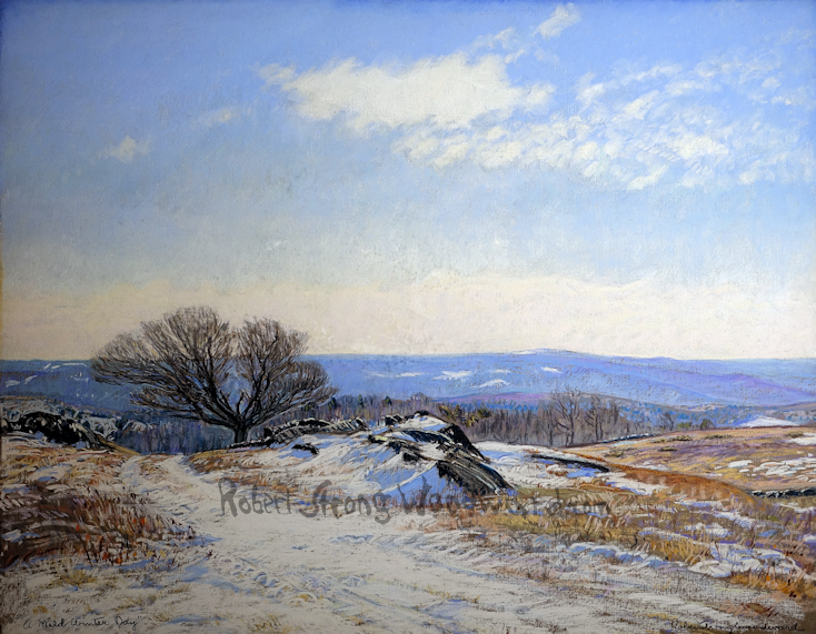 A Mild Winter Day
