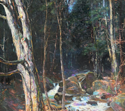 Out of The Forest