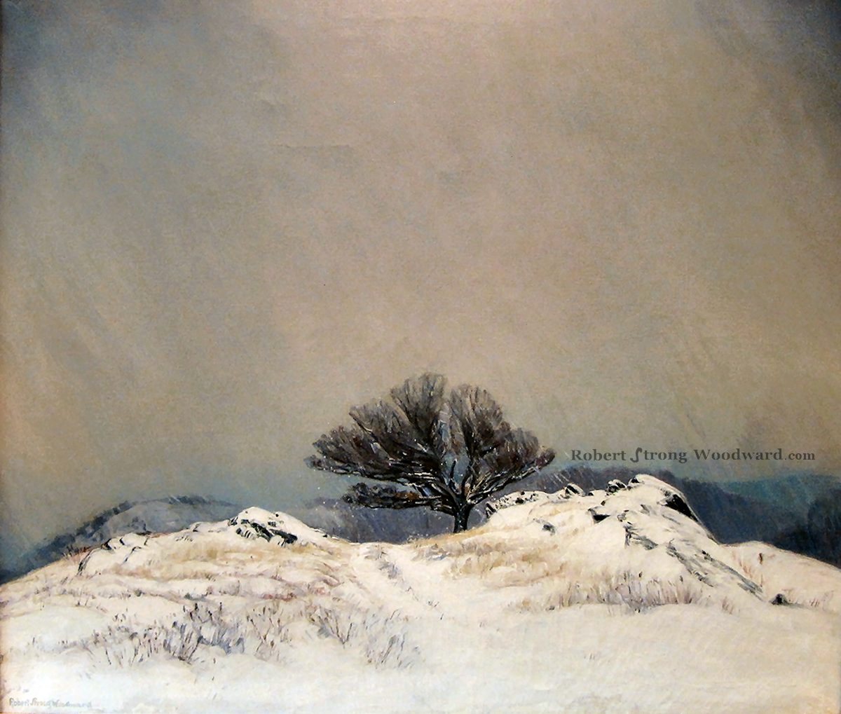 Snowing on the Hill High Resolution