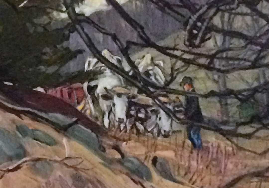 Close up of the man leading the oxen