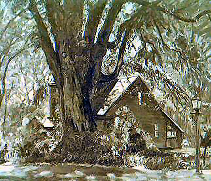 Unnamed: A Hitchcock Elm