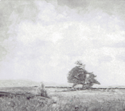 Unnamed-Pasture Ledge