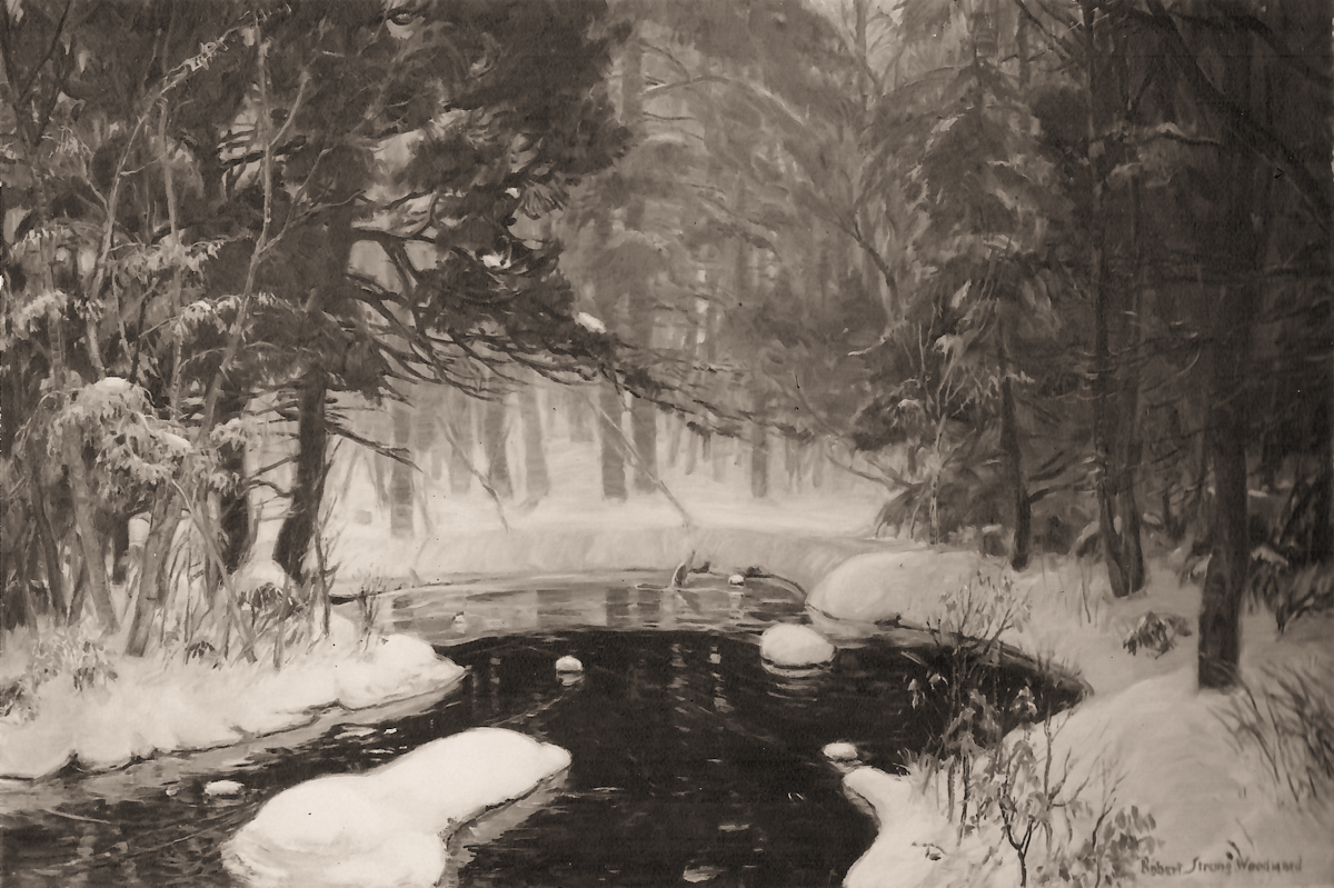 Woodland Mystery High Resolution