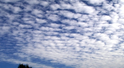 Altocumulus Clouds 