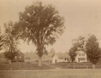 The Bridgman farm in Westhampton around 1897 showing the wondrous Elm.