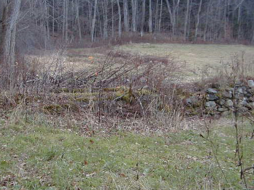 moss covered cistern on the left and the stone wall foundation of the barn on the right