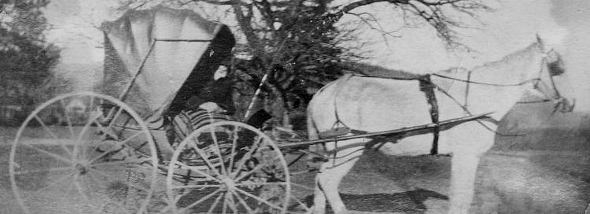 Woodward's first horse in Massachesetts