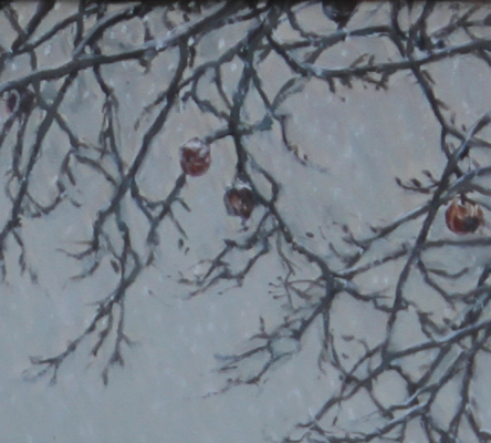 Closeup of apples in Beginning To Snow 