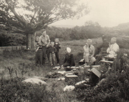 Many picnic outings were held under the beech tree.