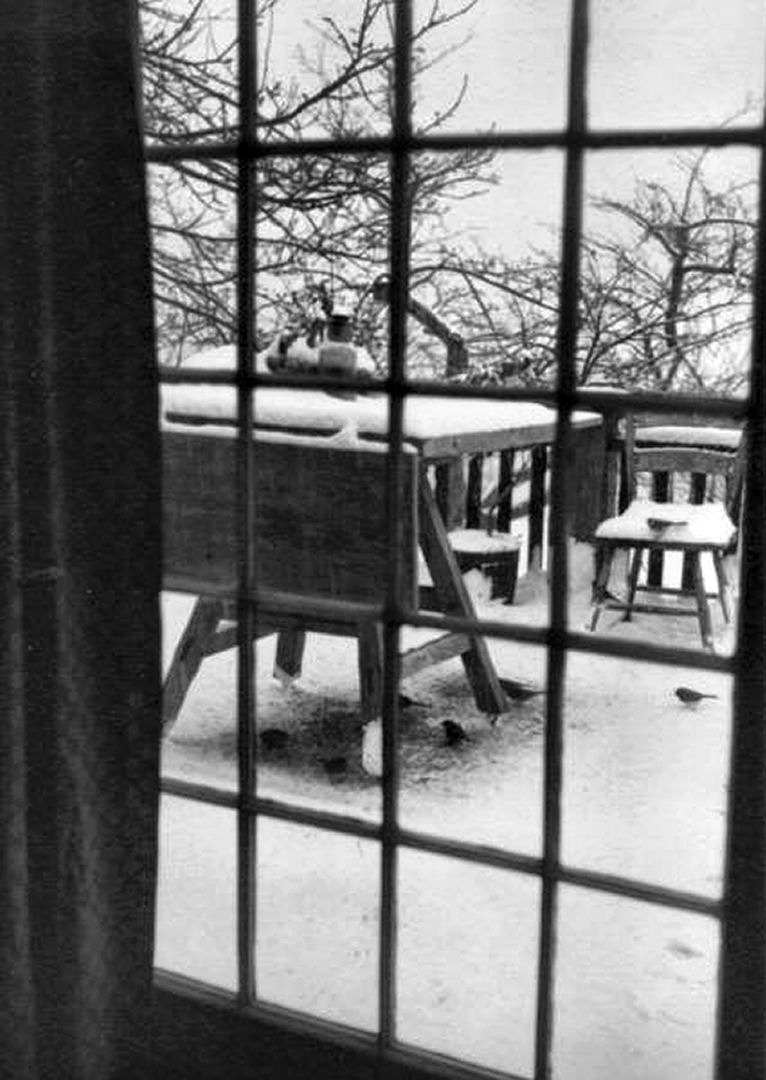 Old picture of the studio's balcony door