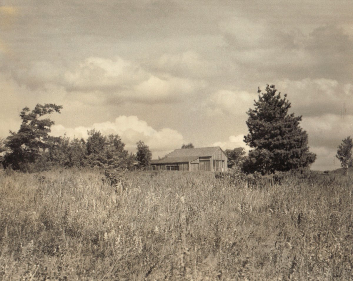 The Pasture Studio in the overgrown Pasture soon after construction.  The stone chimney had not yet been built by Fabian. 