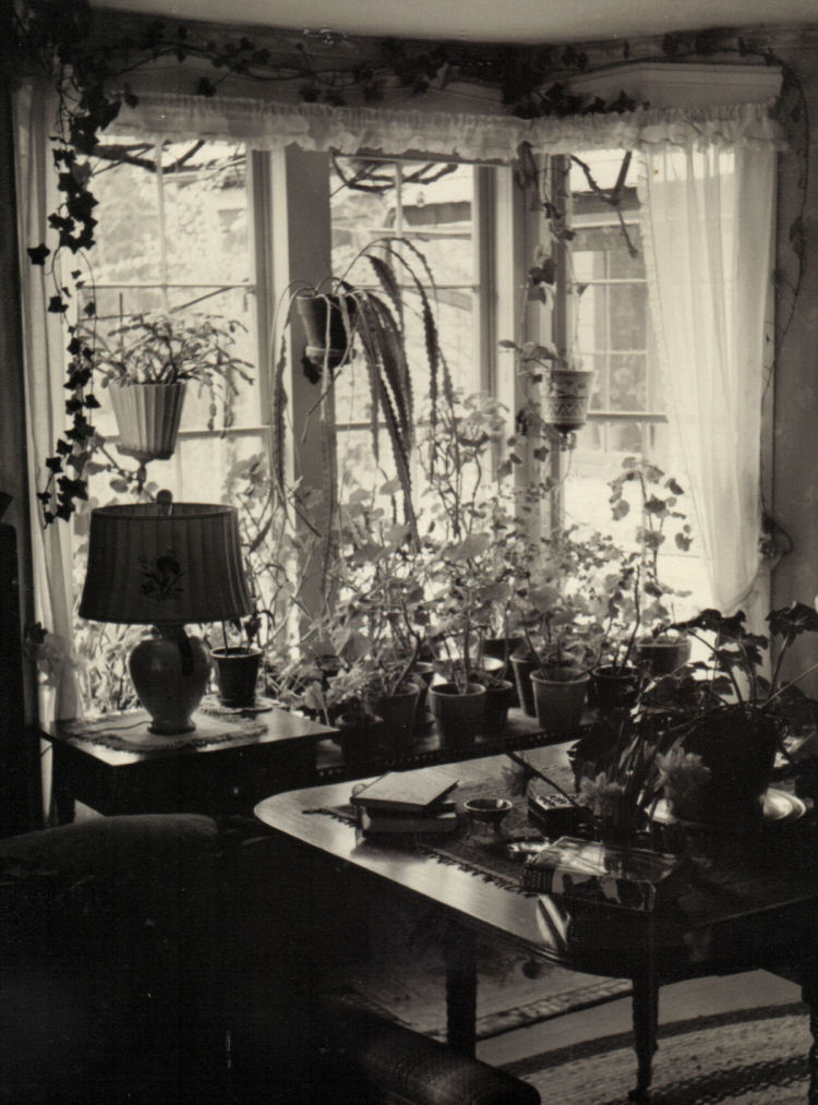 Interior of Southwick home showing plants in the South bay window. 
